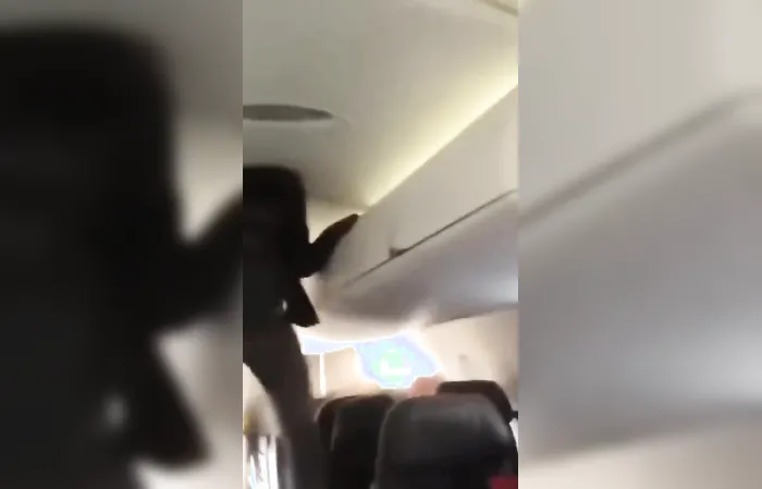 'Seems a bit demonic': woman went wacky on airplane and it's on video