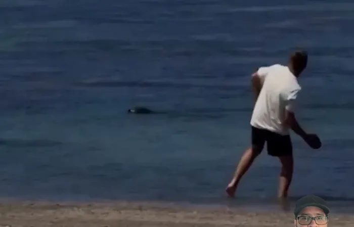 Seattle tourist gets BEAT UP for throwing rock at endangered animal