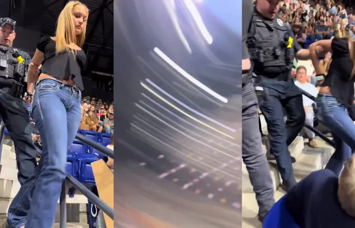 Chick arrested at ball park and kicking people on the way out