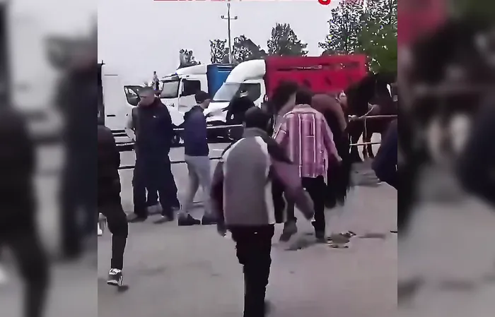 Dumbass gets HORSE KICKED in the fucking face OMG