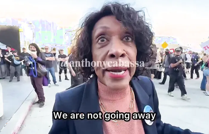 Maxine Waters does a lot of talking, but says nothing at all