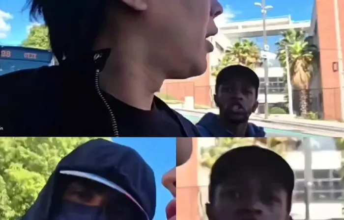 Streamer tried to prove immigration is great, gets beat up by migrants immediately