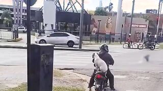 Dog goes for ride with complete stranger