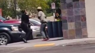 Female cop gets wrecked in street fight