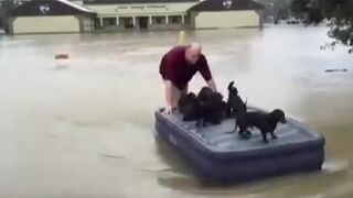 This video is AI and everyone keeps falling for it