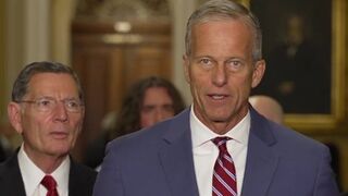 Elon torched Trump's 'pork-filled' bill, Thune tries to cover for it