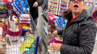 Should people bring dogs into supermarket?