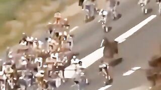 Horse jumped over fence to join bike race