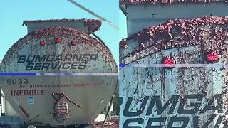 Truck has rotten meat spilling into the street