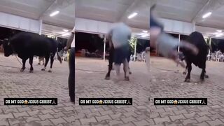 Man vs Bull - who ya got?