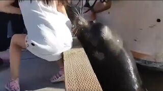 He had one chance and he took it