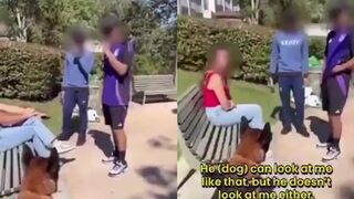 Bad dog or good dog?
