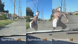 This is exactly how squirrels act