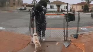 OH HELL NO!! Dude caught STEALING A DOG