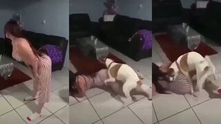 Dog takes every opportunity