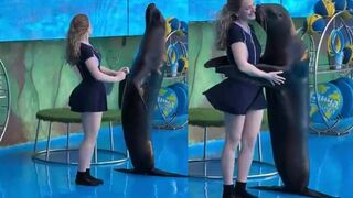 Seal has all the charisma