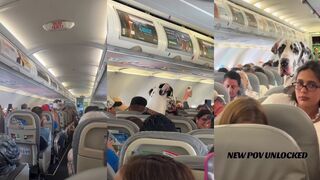 Imagine sitting next to this on a plane!
