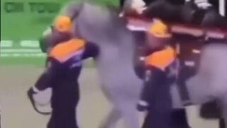 This is why we don't use horses with the ambulance