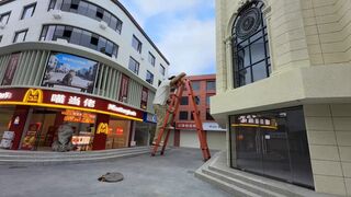 Chinese man has built an entire town for his cats