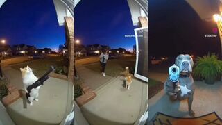 AI gun videos are taking over Instagram