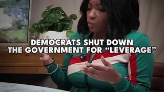 Democrat leaders admit to shuttering govt for leverage