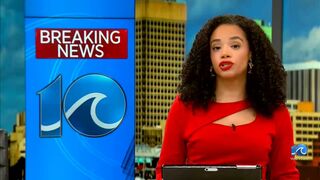 Virginia assistant principal and brother arrested for plotting against ICE agents