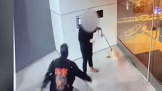 Woman walking dog in LA gets sexually assaulted by a homeless scumbag in broad daylight