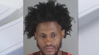 “Minnesota man” Abdimahat Bille Mohamed raped two women, copped a deal and did NO JAIL TIME