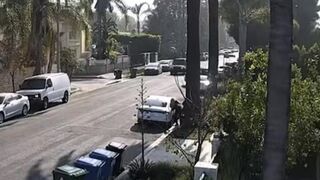 Angry mother SLAMS CAR into thieves who tried robbing her house