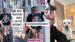 The perfect reaction to crazy people