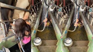 Wrong place at the wrong time