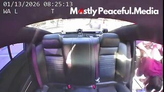 Woman Arrested After Punching State Trooper During Immigration Operation in Florida