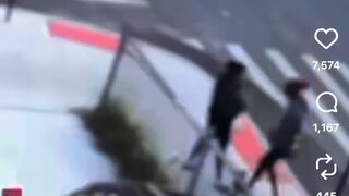 CCTV Captures Horrifying Attack on 11-Year-Old Girl Walking Her Puppy