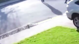 Black dude squeals like a piggy when robbery goes wrong