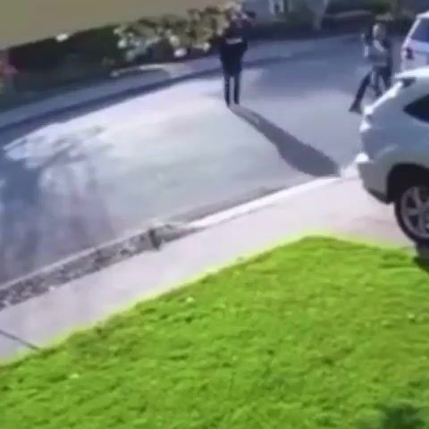 Black Dude Squeals Like a Piggy When Robbery Goes Wrong (VIDEO)