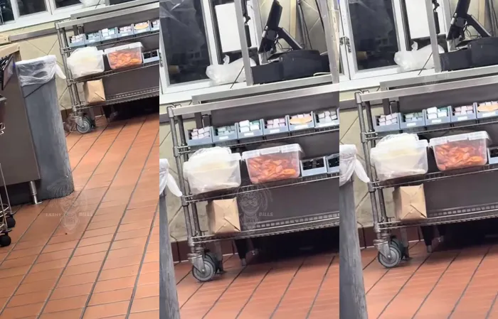 McDonalds employee captures video of a giant rat climbing through food
