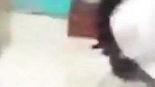 Cracked out substitute teacher says she's a “million dollar prostitute"