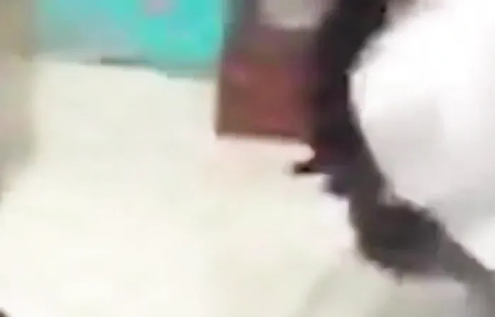 Cracked out substitute teacher says she's a “million dollar prostitute"