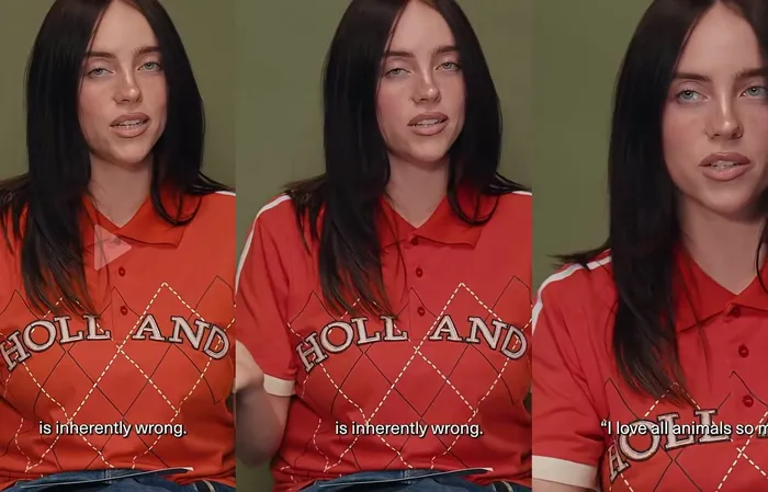 Billie Eilish says you cannot eat meat if you love animals
