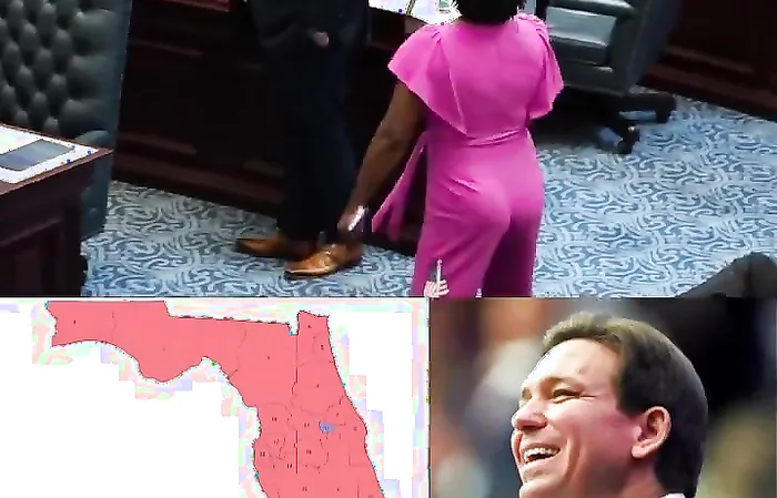 Democrat Florida House member turns into full blown lunatic