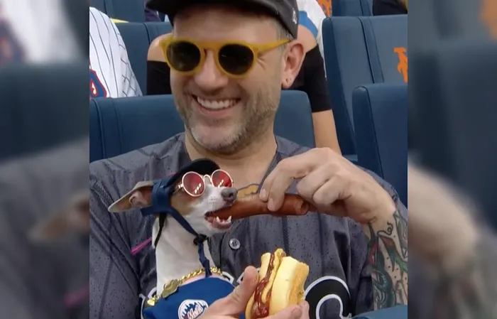 That dog is living his best life