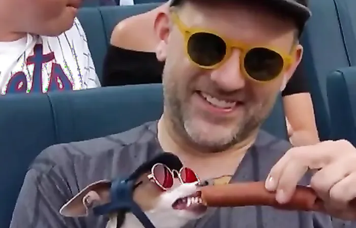 That dog is living his best life