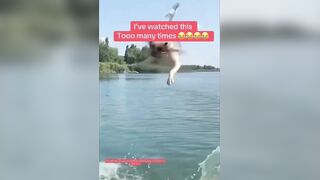 I can’t believe this got caught on camera!!!