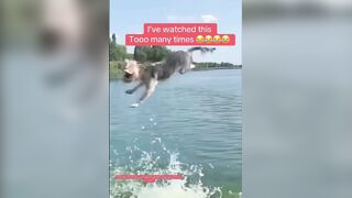 I can’t believe this got caught on camera!!!