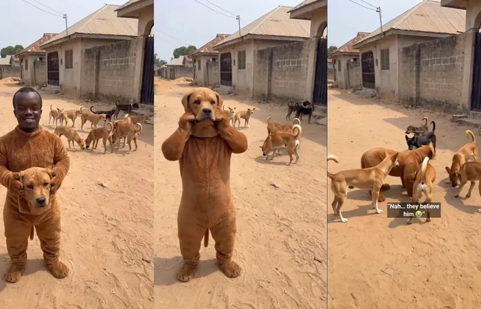 LiL Fella dressed up like a dog and here's what happened