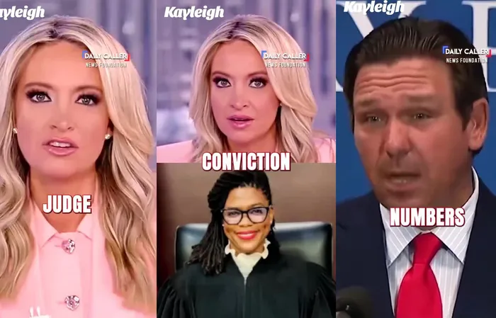 Florida Democrat Judge released a dangerous thug who later killed a 5-year-old