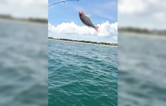 Rather be fishing and catching some monsters