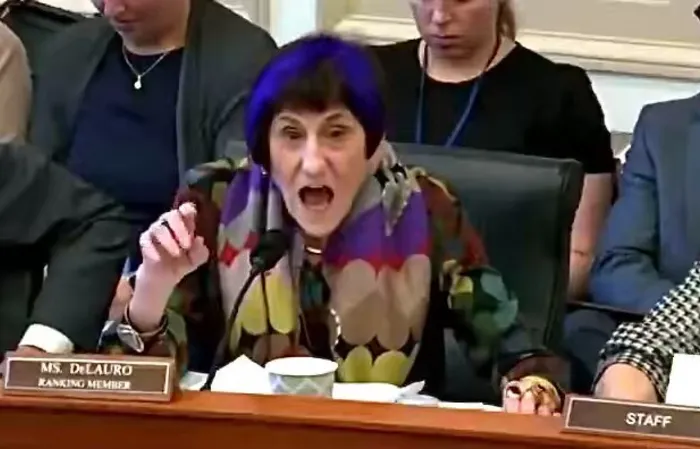 Purple-headed Monster Rosa DeLauro goes psychotic in Congress