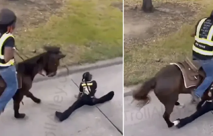 Twerkeisha gets trampled by a horse in the hood