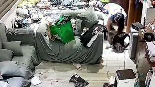 Psycho Cat attacks woman, cuts her up like slices of cheese